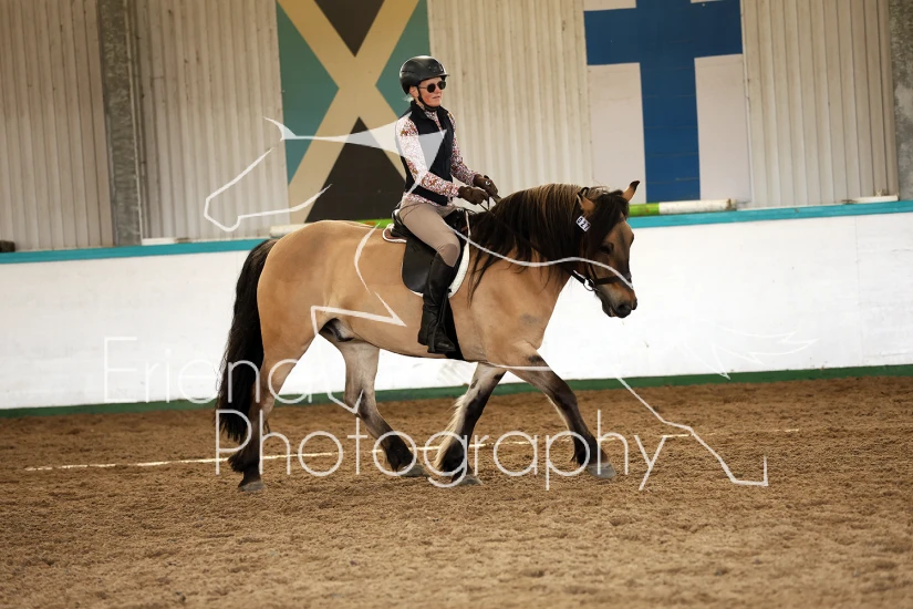 Lanark Riding Club Dressage