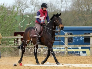 Class 2 Novice Horse