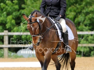Rutland Riding Club Dressage 21 05 17