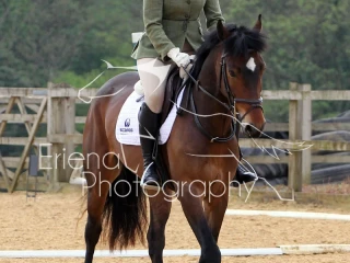 Rutland Riding Club Dressage 30 04 17