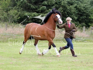 Scottish All Welsh 40th Anniversary Show