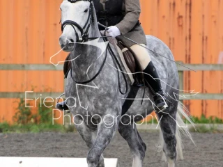 Sissons Farm Dressage October 2017