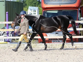 Almond Riding Club Showing Show
