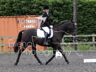 Sissons Farm Dressage September 2017