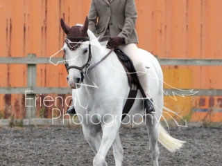 Sissons Farm Dressage September 2018