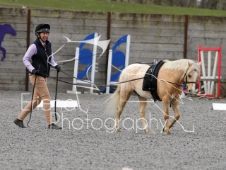 Stanmore Dressage