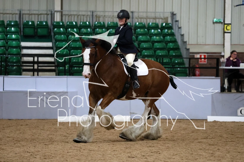 Strathendrick Riding Club Dressage