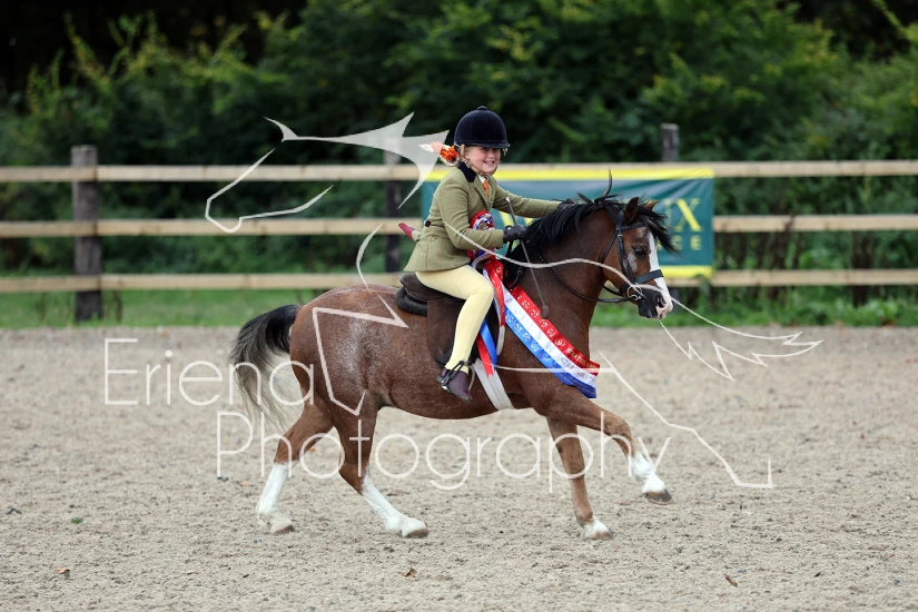 Strathkelvin Championship Show
