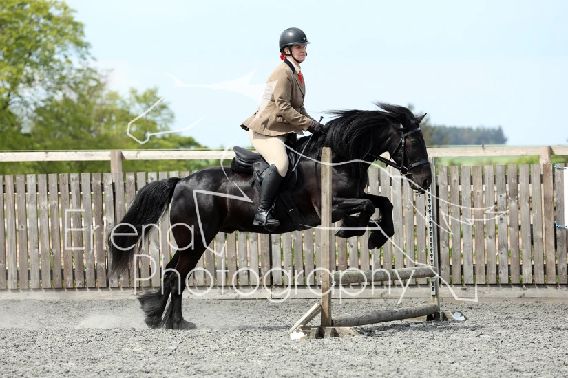Strathkelvin Riding Club Working Hunter
