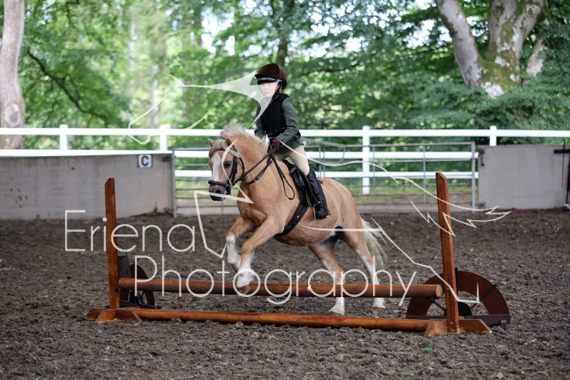 Turlood Open Show Working Hunter