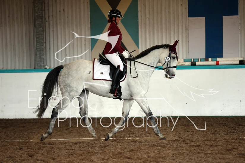 Van de Vallei Dressage