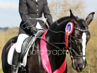 Wittering Academy Dressage 20 03 2016