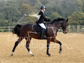 elementary 47 med 69