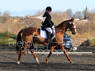 Wittering Academy Dressage February 2018