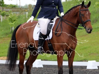 Wittering Academy Dressage May 2018