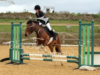 Wittering Academy Showjumping April 2017